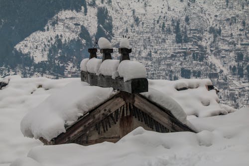 冬季, 冷, 大雪覆盖 的 免费素材图片