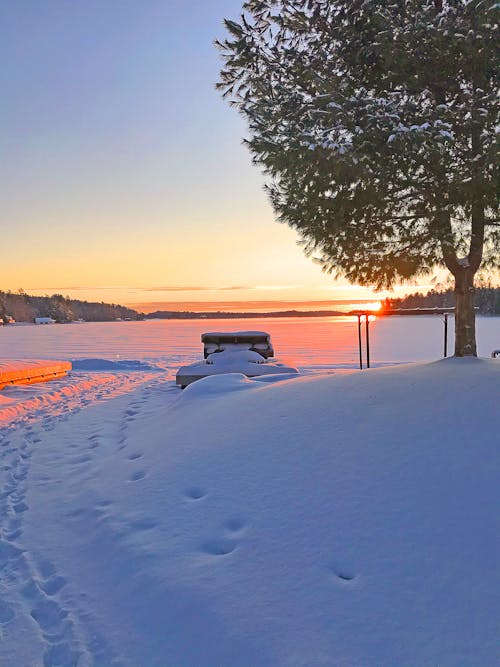 Бесплатное стоковое фото с снег, яркое солнце