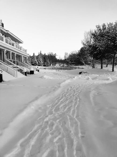 Free stock photo of retro, snow