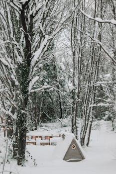 Snow blankets a peaceful forest landscape, highlighting trees and a small cabin, creating a serene winter wonderland.