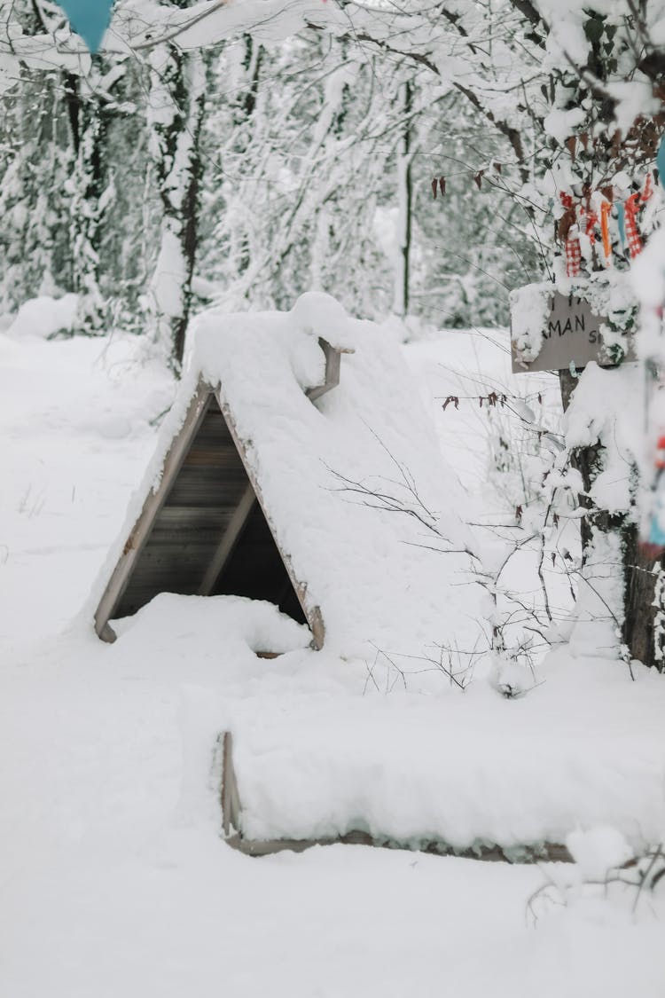 A Doghouse In Winter