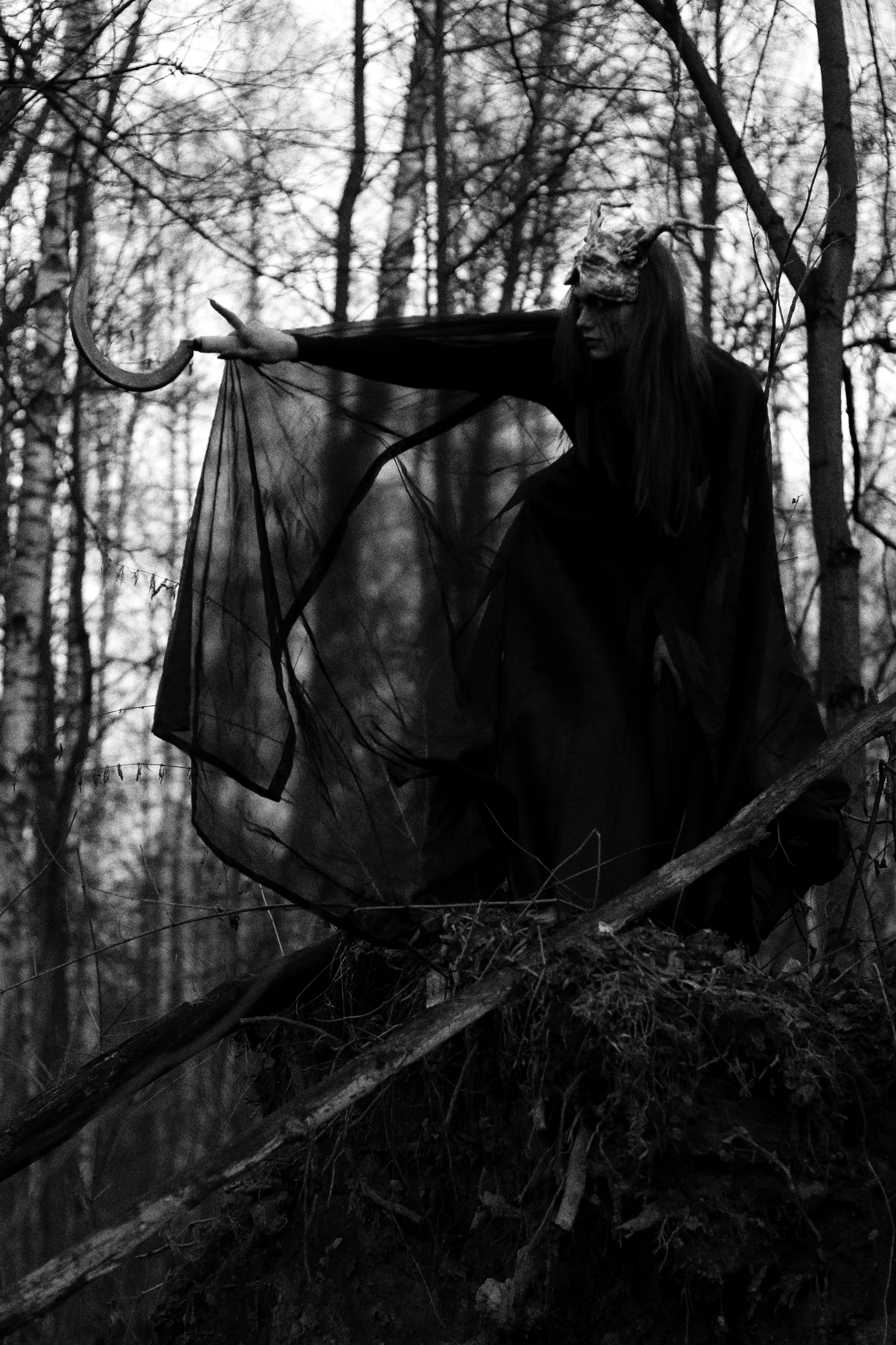 A Person Wearing a Costume in a Forest · Free Stock Photo