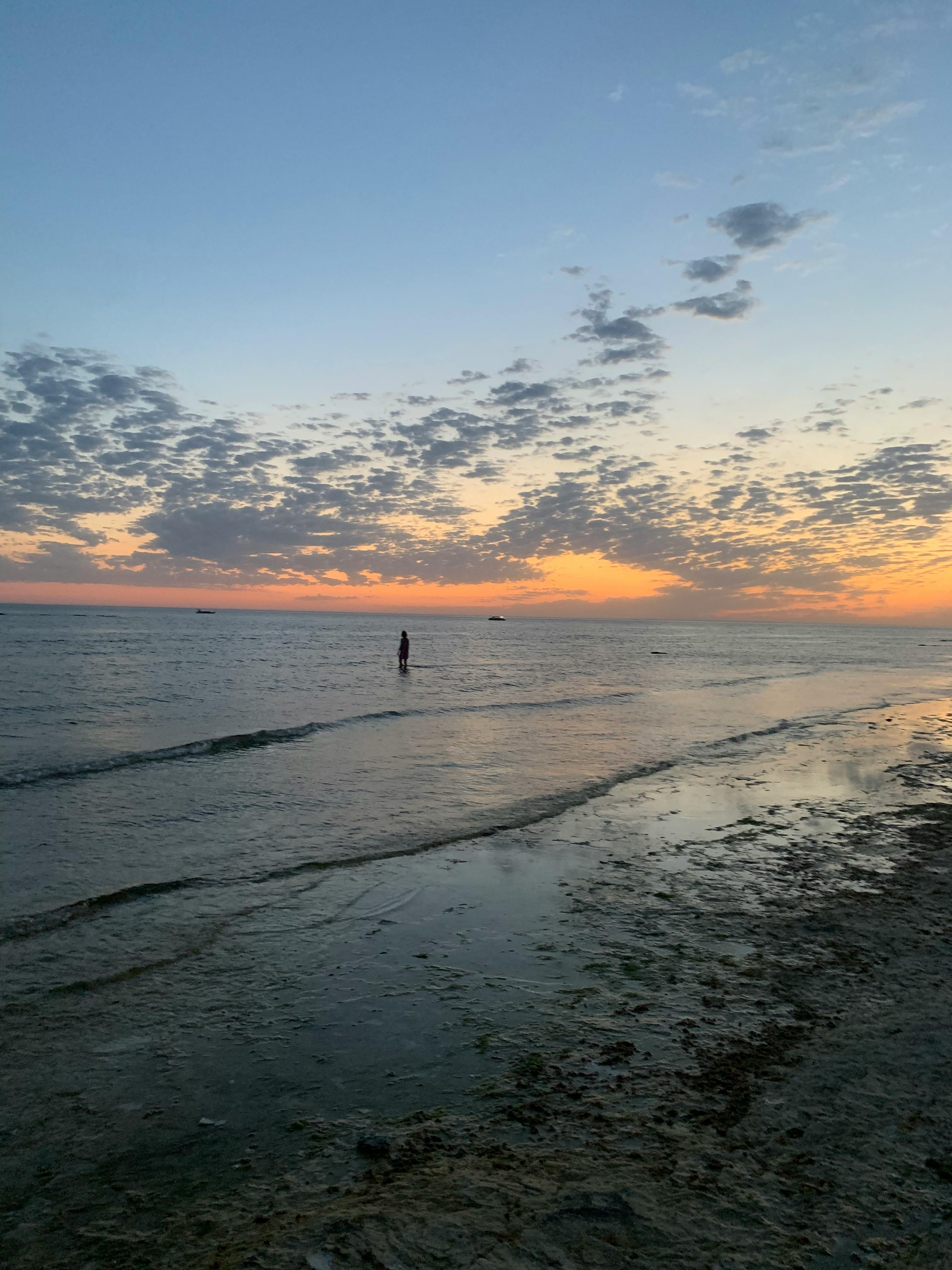 Anillo Fuego del Norte