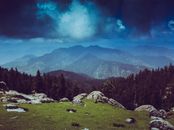 Photo of Mountains Surrounded by Pine Trees