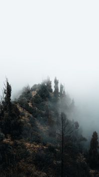 Captivating misty mountain peak shrouded in fog, showcasing Indonesia's natural beauty.