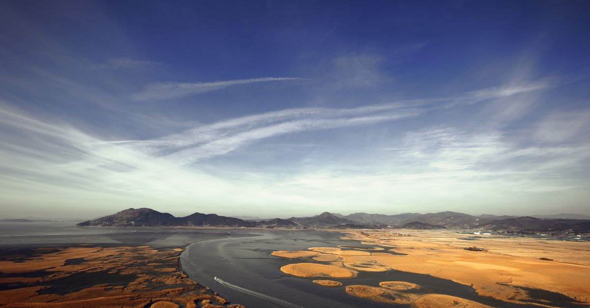 Stunning aerial photograph of Suncheon wetlands in South Korea showcasing meandering river and lush landscape. visual (Photo: 정규송 Nui MALAMA / Pexels)