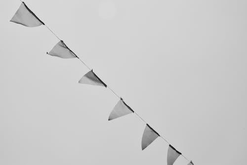 Grayscale Photo of Buntings