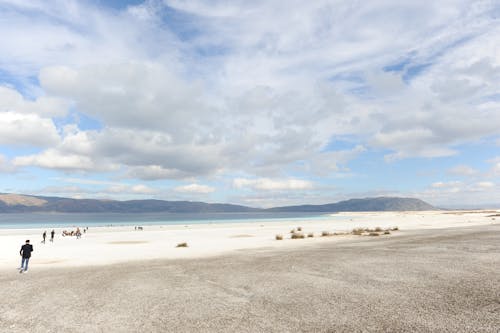 Sea and Beach Landscape