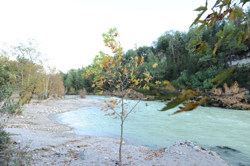 Free Tranquil autumn river scene in Alanya, Turkey with lush forest and vibrant foliage. Stock Photo