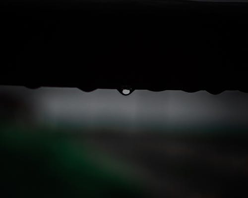 Free stock photo of dewdrops, drop of water, droplet