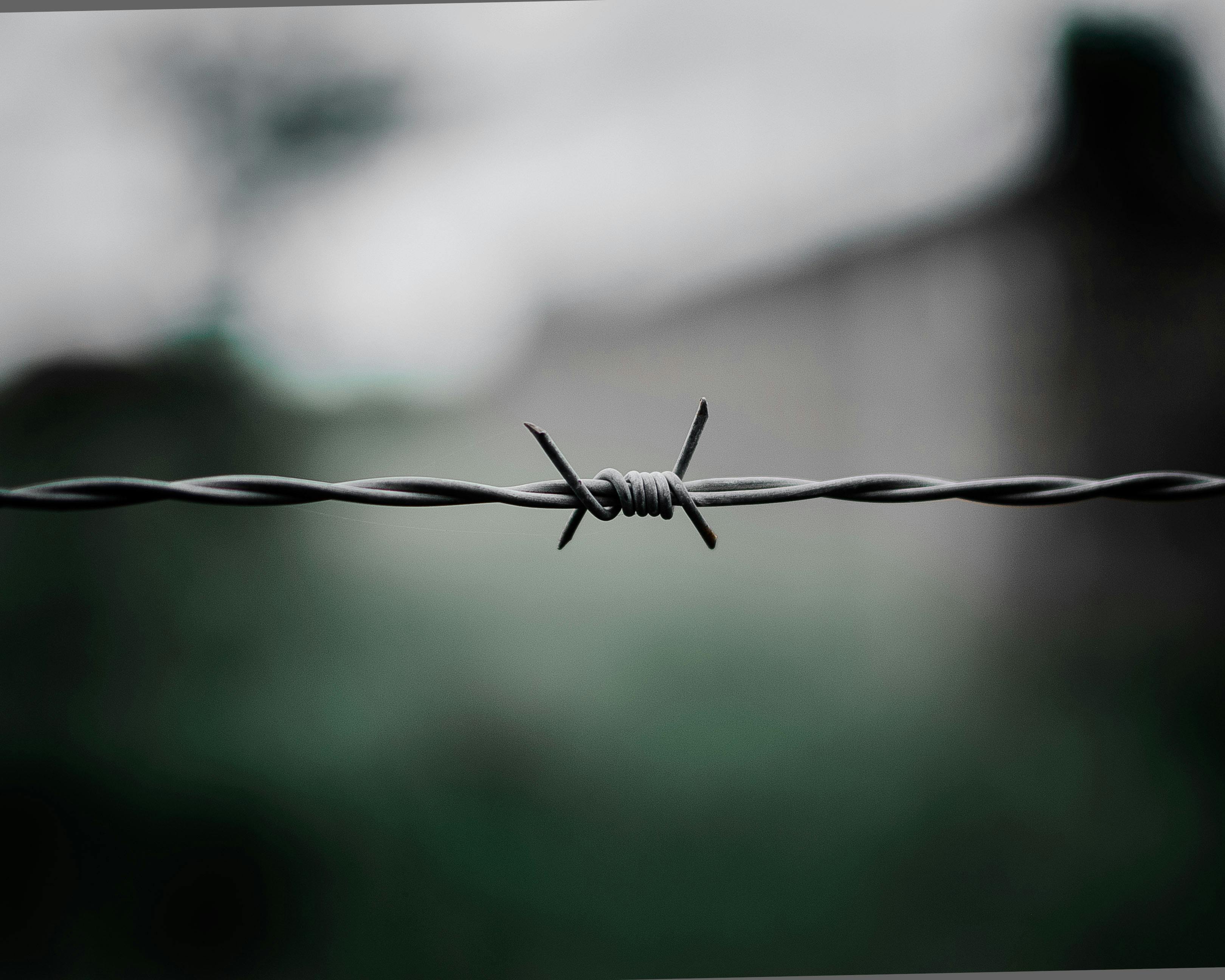 Free stock photo of barb wires, barbed wire, barbed wires