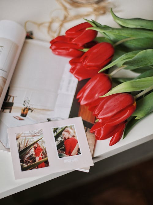 매거진, 붉은 꽃, 빨간 드레스의 무료 스톡 사진