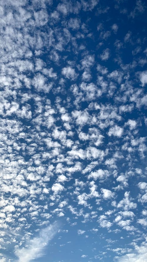 Darmowe zdjęcie z galerii z błękitne niebo, bulut, chmura