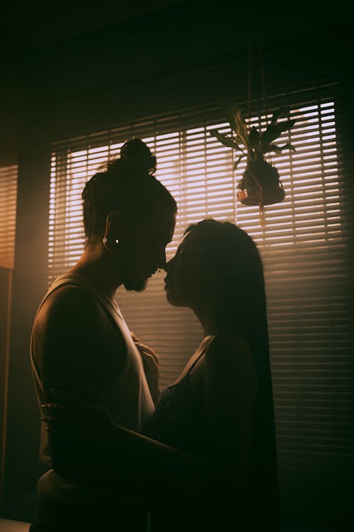 Silhouette of a Couple Kissing in the Room 