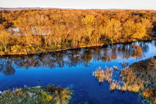 High Angle View of a River and Trees in Autumn Colors 