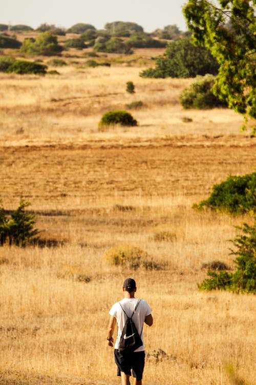 Immagine gratuita di alberi, berretto, borsa