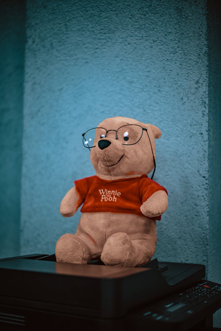 A Winnie The Pooh Stuffed Toy 