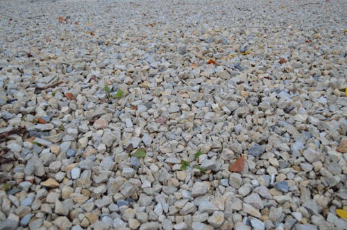 Rocks on the Ground