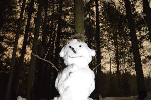 Foto profissional grátis de árvores, boneco de neve, com frio