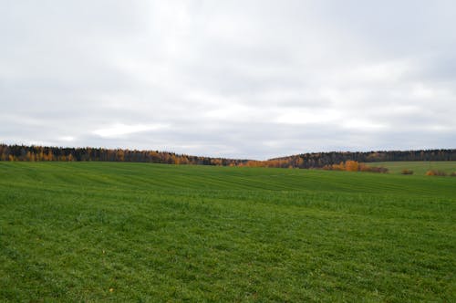 Ilmainen kuvapankkikuva tunnisteilla nurmikenttä, taivas, vihreä niitty