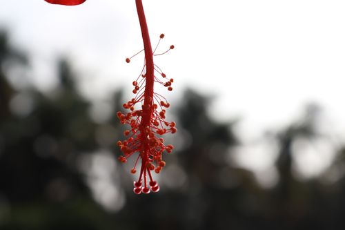 Free stock photo of shimjo Stock Photo