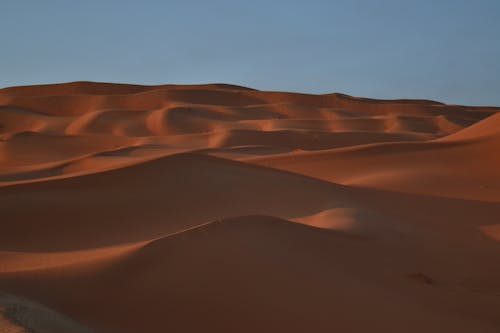 бесплатная Бесплатное стоковое фото с голубое небо, горячий, дюны Стоковое фото