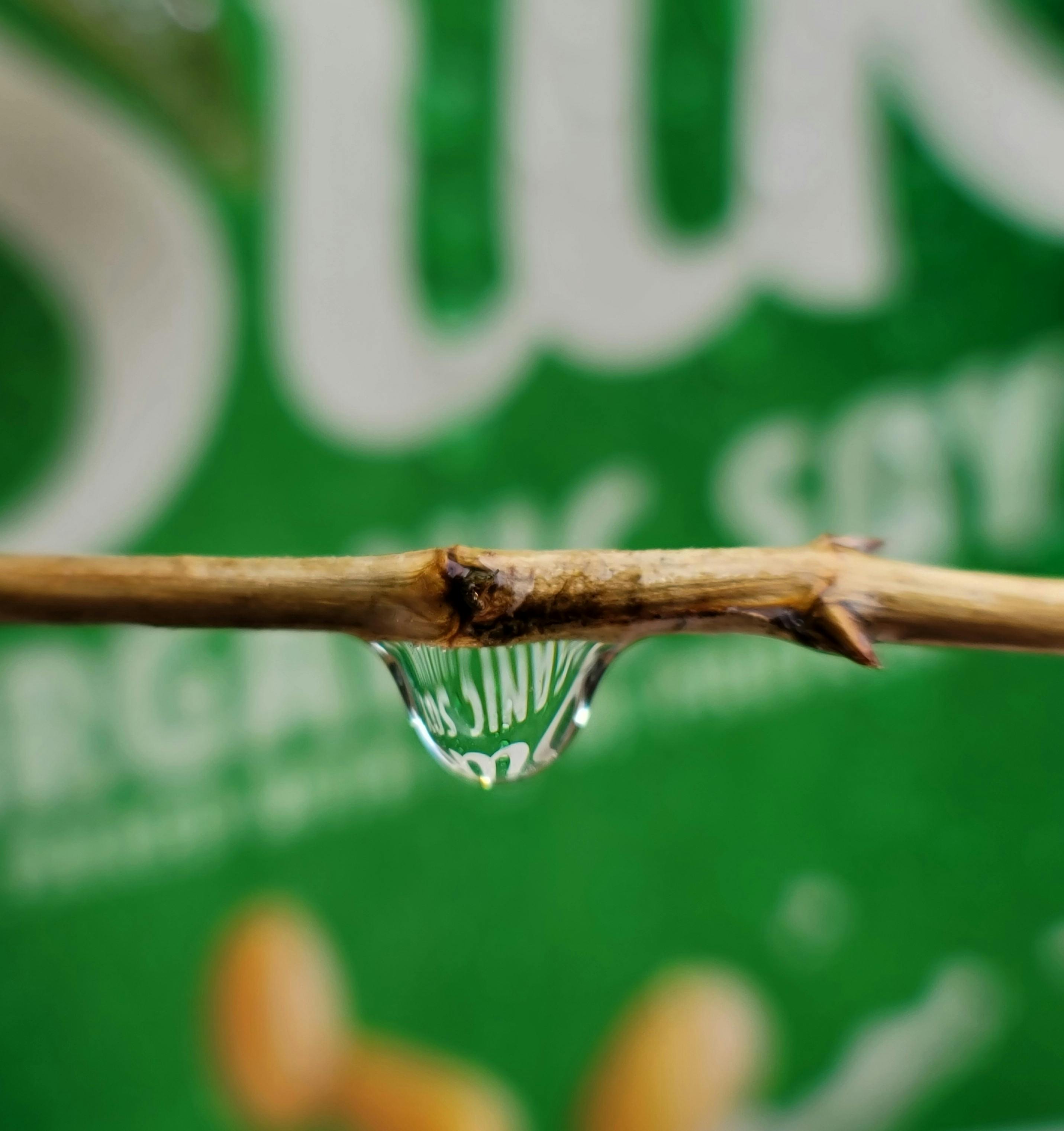 Chongqing city skyline with Hongya Cave