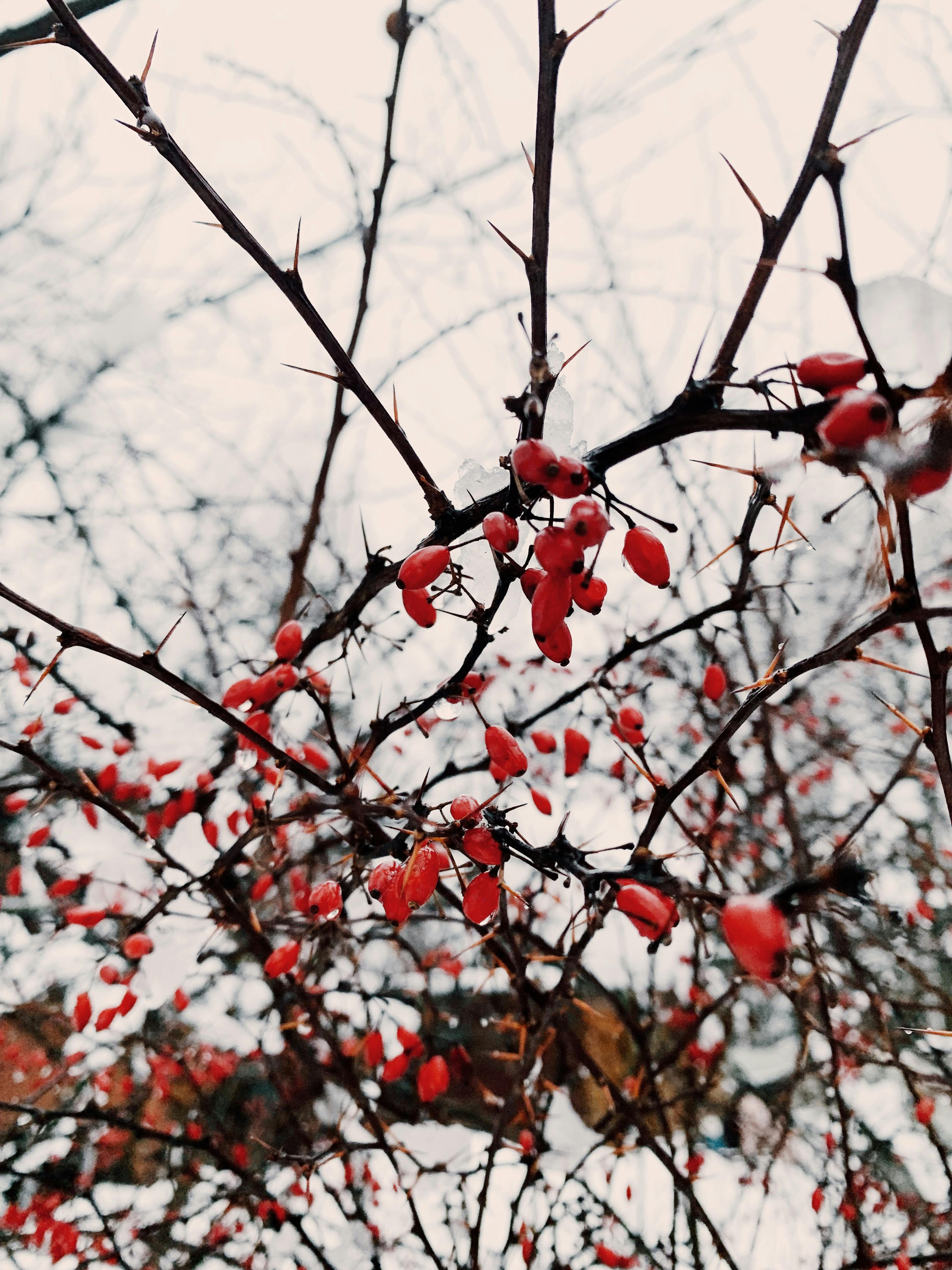 Paisagem urbana de Kiev com edifícios modernos e históricos