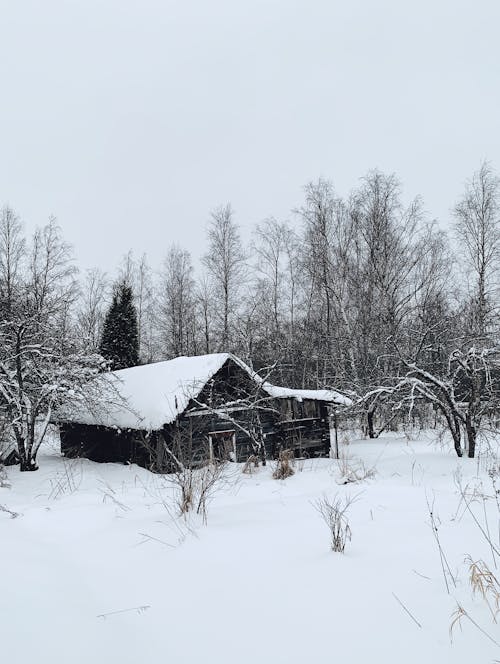 Základová fotografie zdarma na téma bungalov, chýše, dřevěný