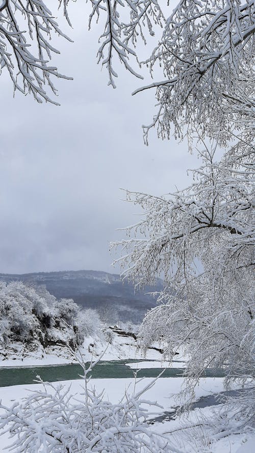 Frozen Lake in Winter Nature Landscape