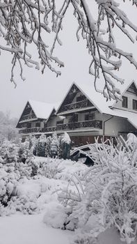 Cozy houses blanketed in snow, surrounded by winter trees and serene garden.