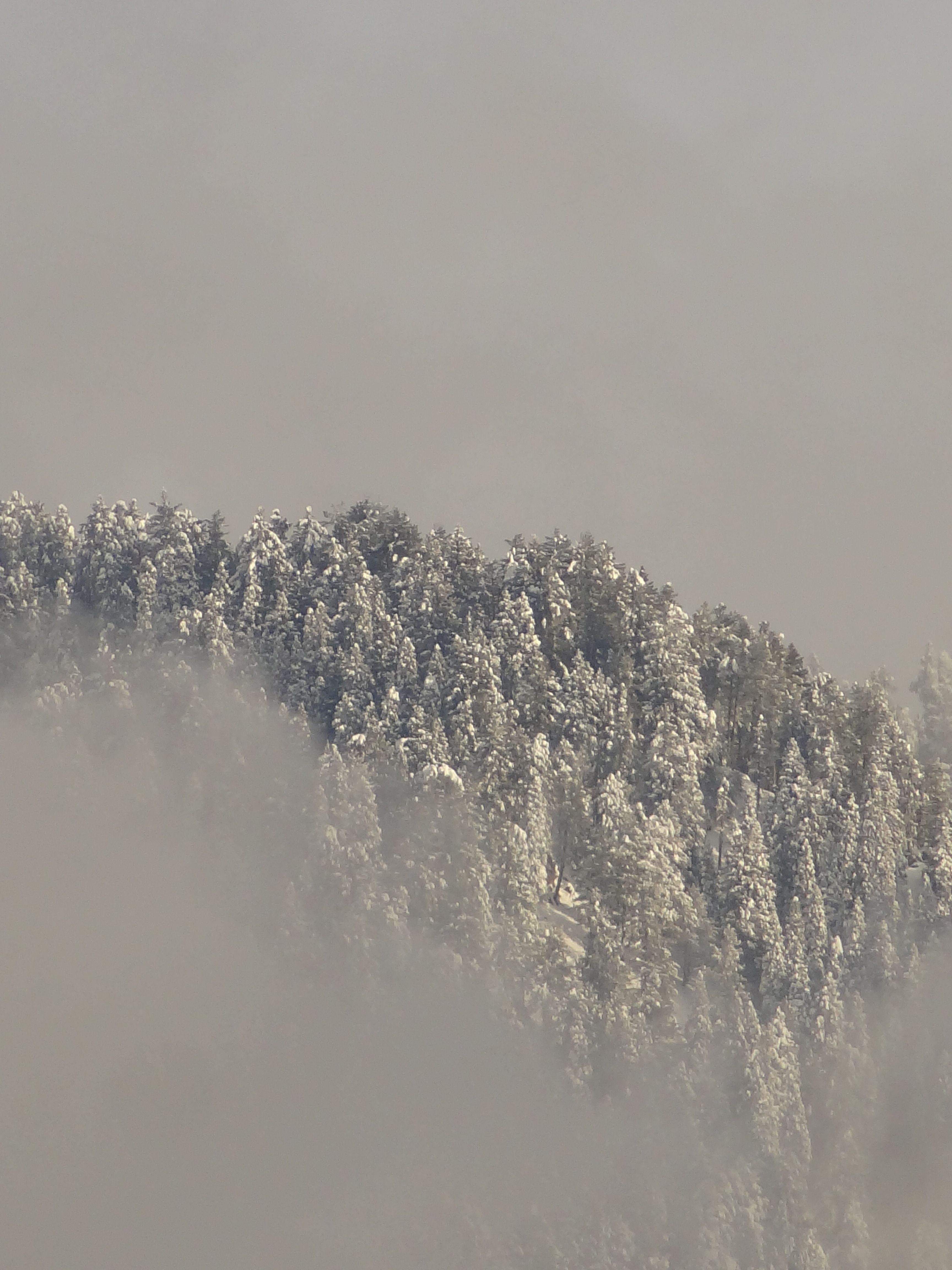Serene view of a snowy mountain peak enveloped in fog, capturing winter's beauty.