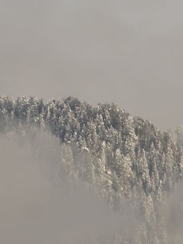 被浓雾笼罩的雪山顶宁静景观，展现冬季的美丽。 - 相关推荐