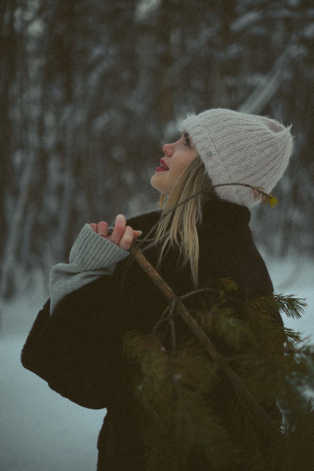 Woman Holding a Branch of Pine Tree · Free Stock Photo