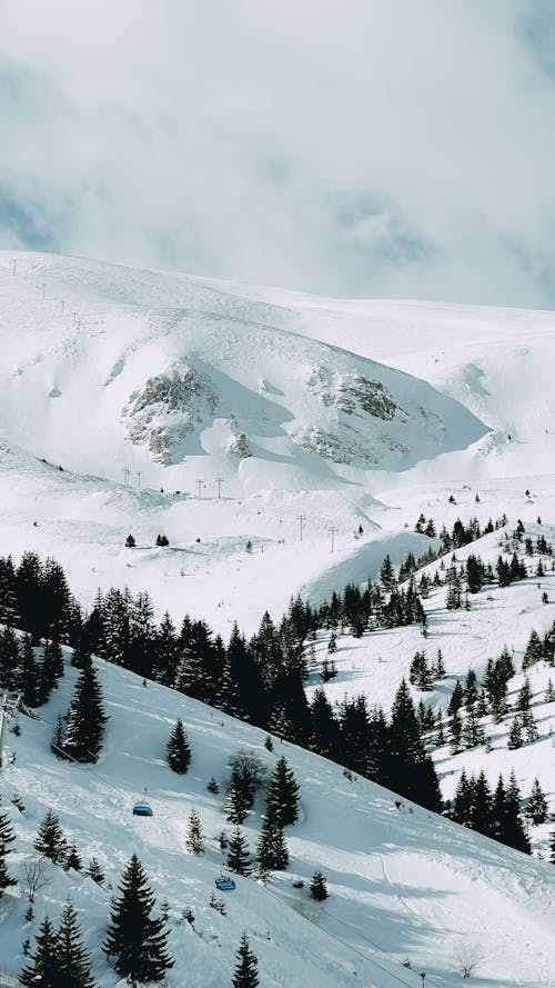 Snowcapped Mountain Slopes