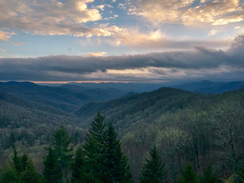 Aerial Photography of Trees on Mountains during Sunset