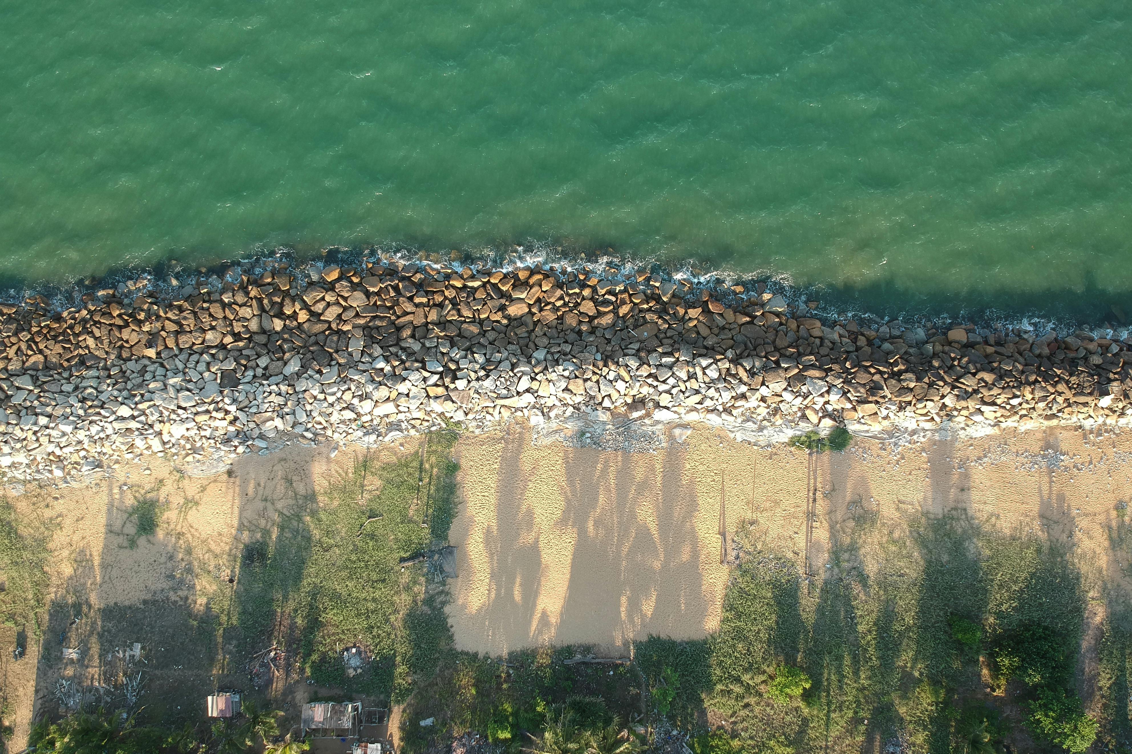 Viento Zonda en Cuyo: Flora, Fisiología y Mitigación