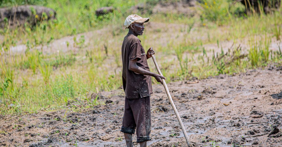 Ebola Workers in DR Congo Face Unpaid Wages Amid Escalating Crisis