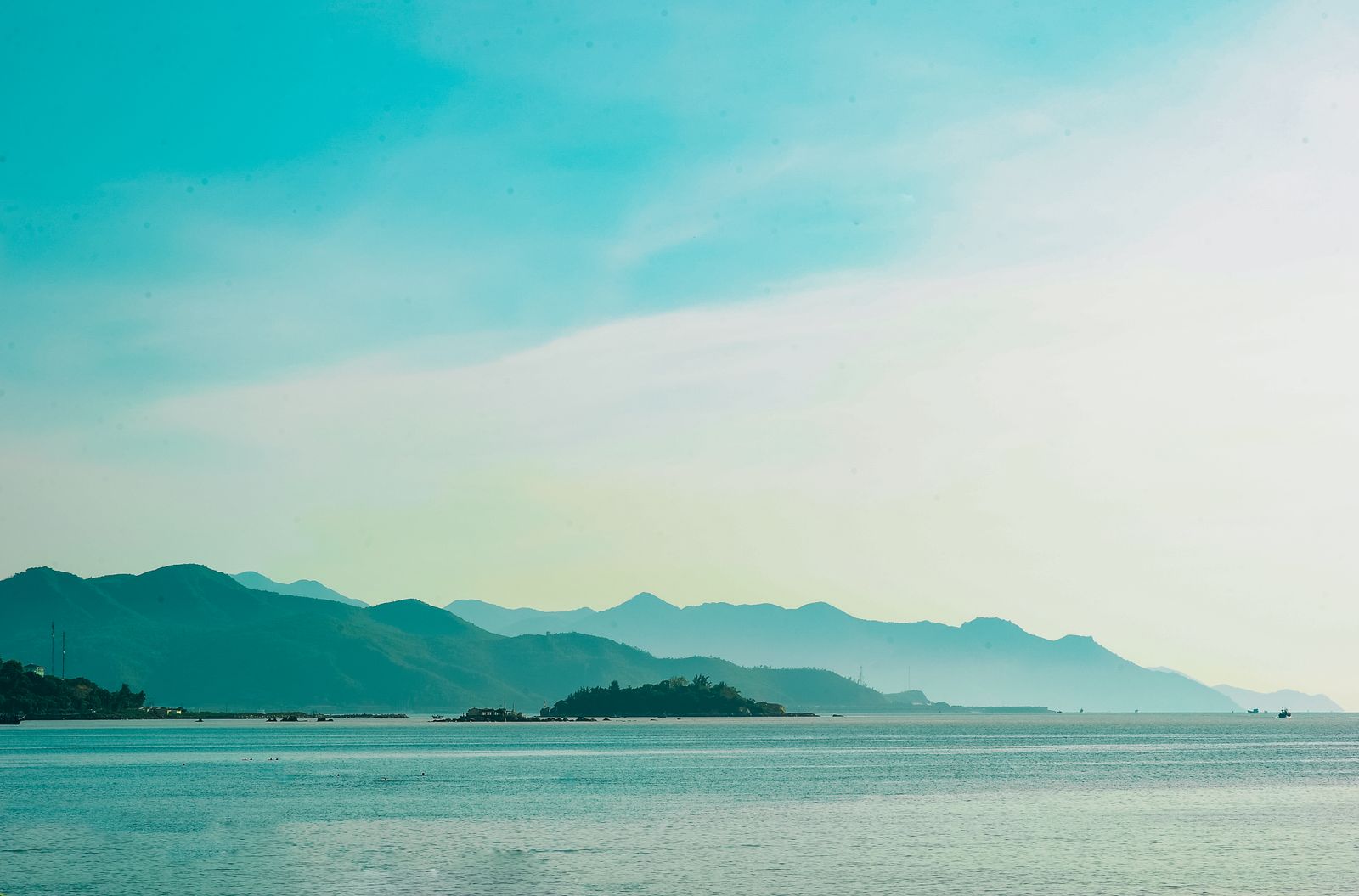 Mental Health and Wellness
