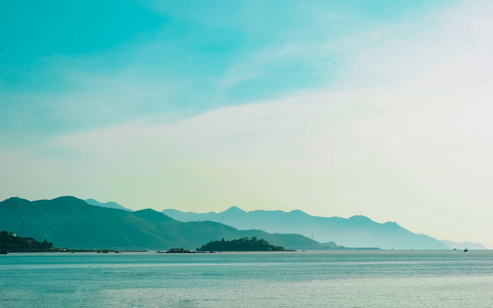 Mental Health and Wellness
