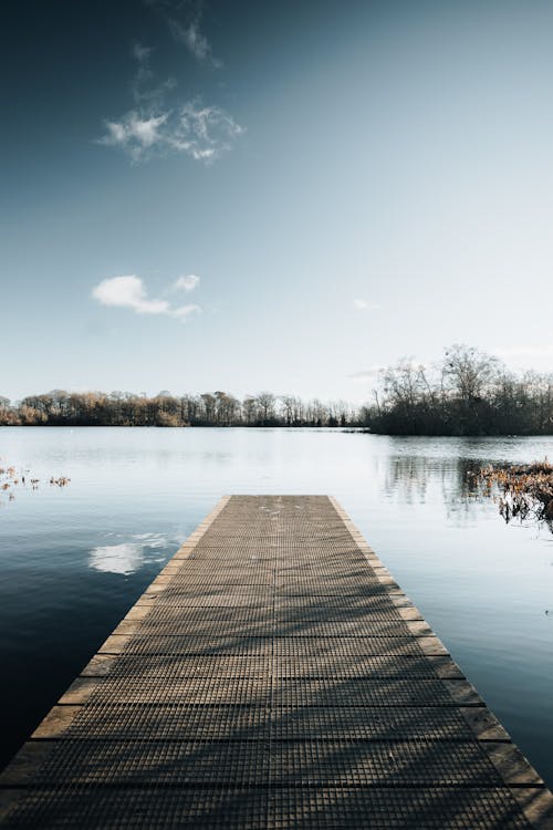 Clear Sky over Pier on Lakeshore