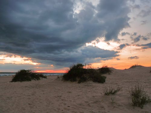 Foto stok gratis awan hujan, pasir laut, pemandangan matahari terbenam