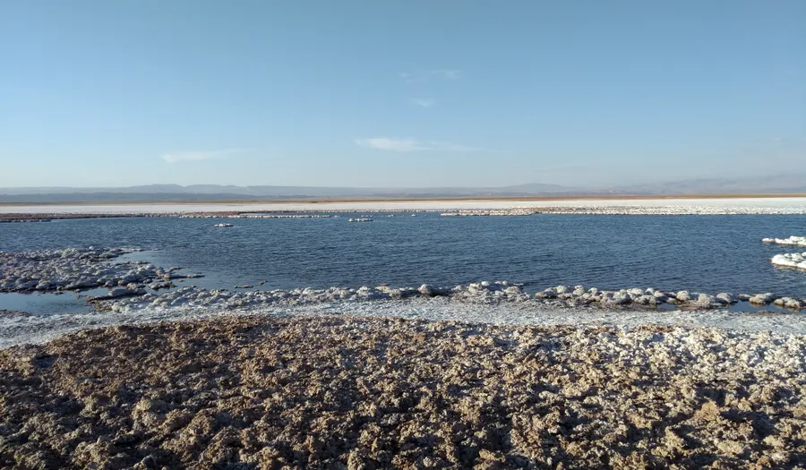 Salar de Atacama et Laguna Chaxa