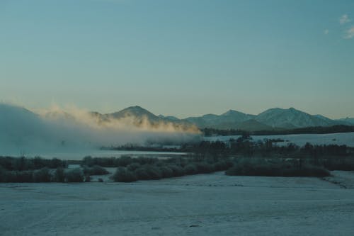 フィールド, 冬, 夕暮れの無料の写真素材