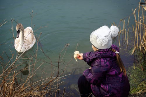 Foto stok gratis danau biru, gadis muda, kolam air