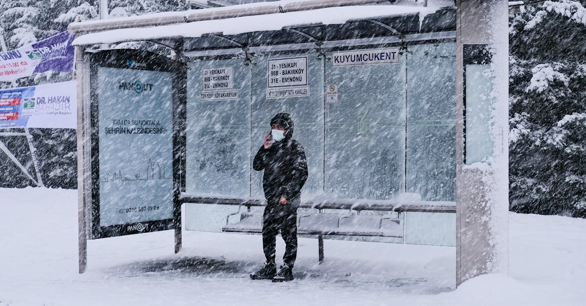 Comment Protéger Votre Micro-Jardin des Intempéries