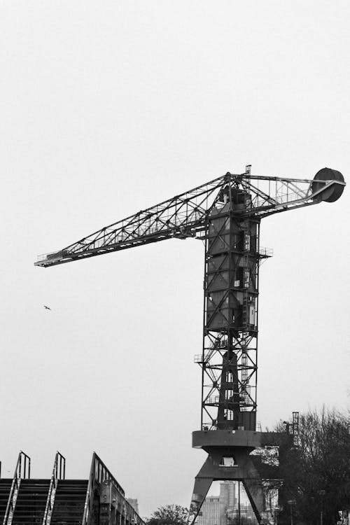 Black and White Crane Under Cloudy Sky