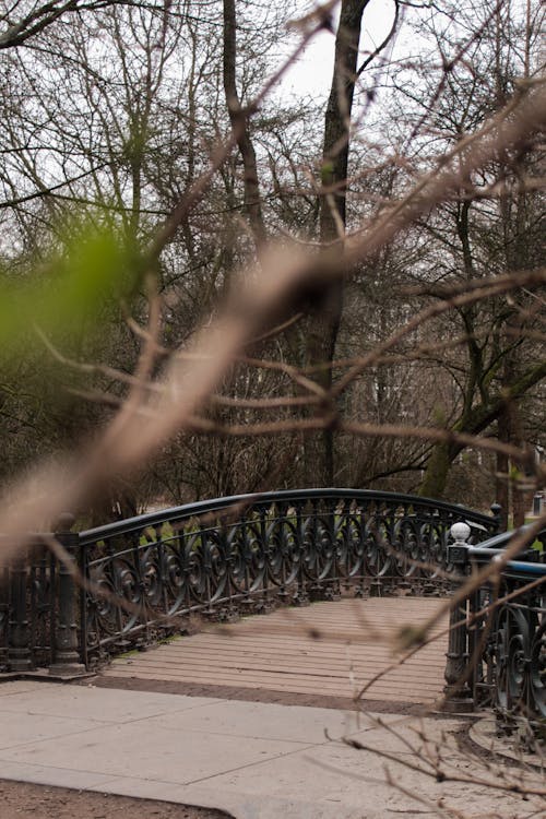คลังภาพถ่ายฟรี ของ vondelpark, ปาร์ค, สะพาน