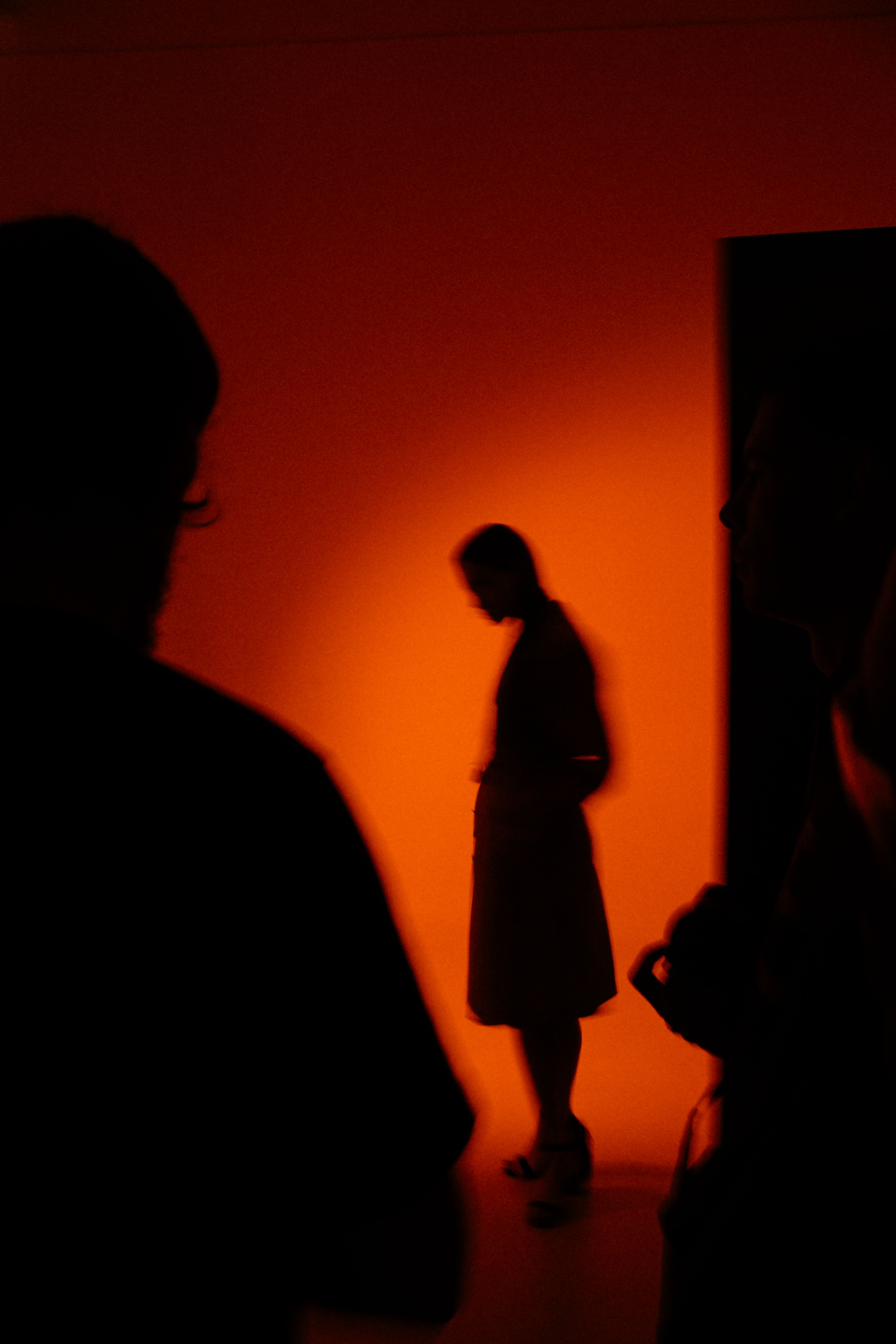 Silhouette of Woman Holding Lantern in Night · Free Stock Photo