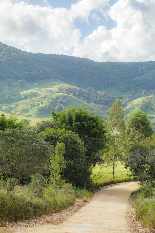 Free A picturesque dirt road winding through verdant hills and trees under a cloudy sky. Stock Photo